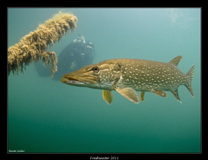 Pike with my buddy in the background . by Beate Seiler 